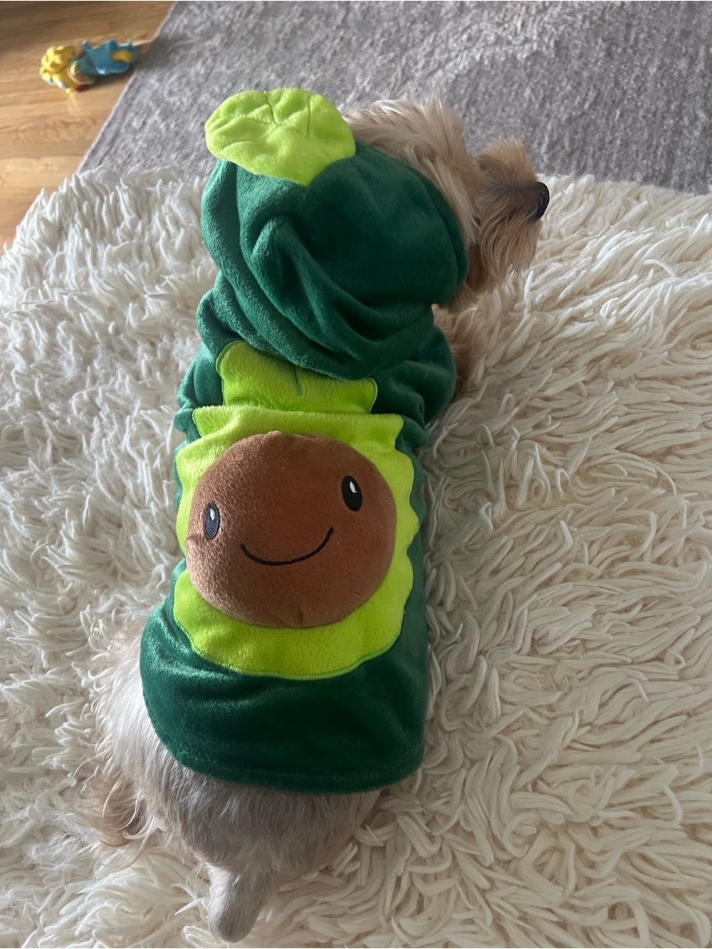 Cute Green Avocado Dog Hoodie - Plush Pet Costume